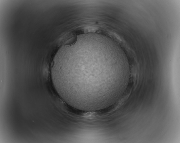 X0000088690761200706141412