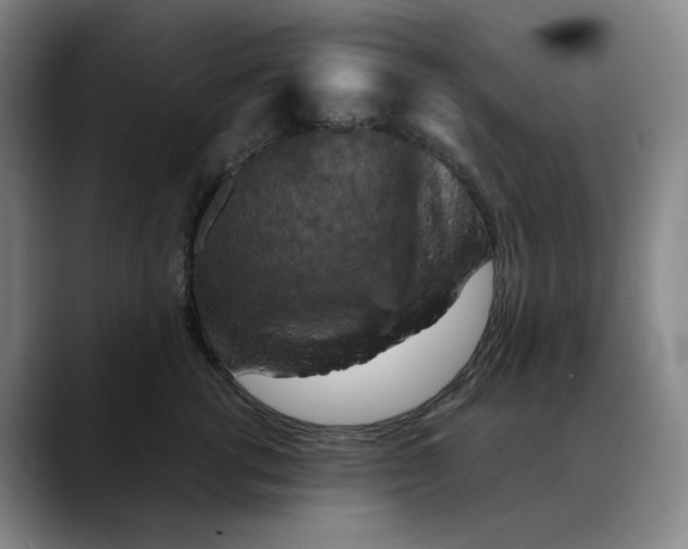 X0000088690762200706141412