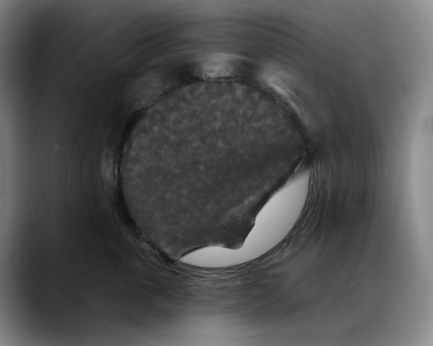 X0000088690763200706141412