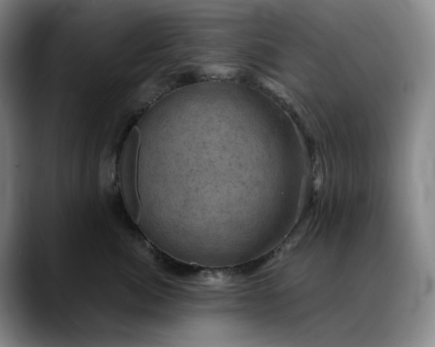 X0000088690764200706141412