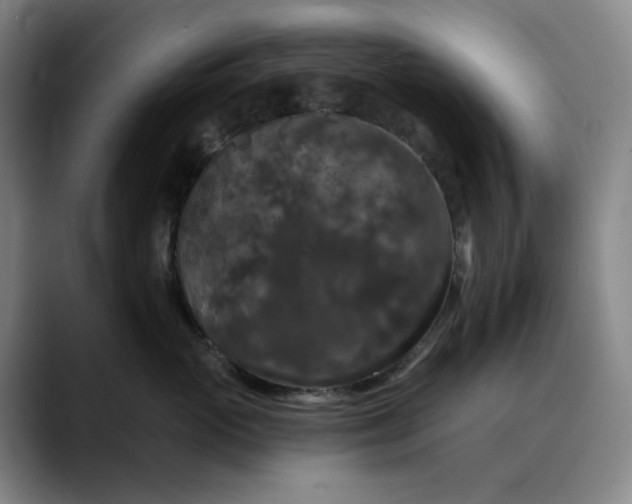 X0000088690765200706141412