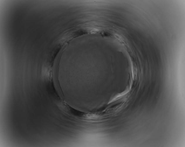 X0000088690766200706141412