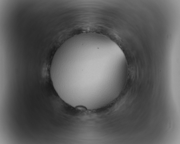 X0000088690770200706141411