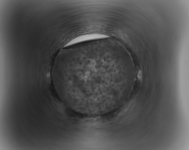 X0000088690771200706141411