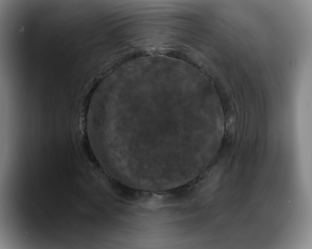 X0000088690772200706141411