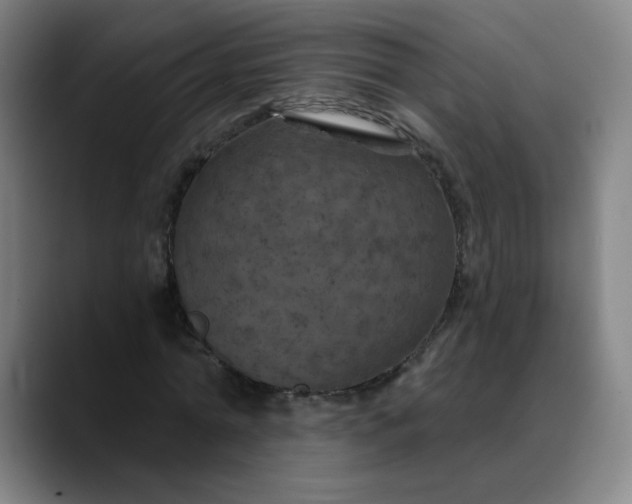X0000088690774200706141411