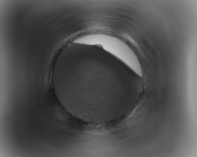 X0000088690775200706141411