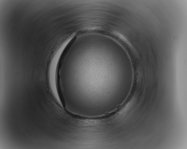 X0000088690777200706141411