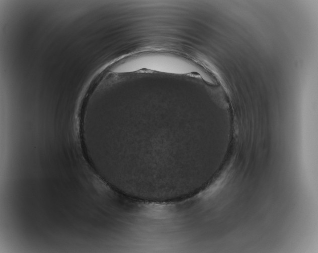 X0000088690779200706141411