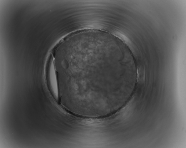 X0000088690780200706141411