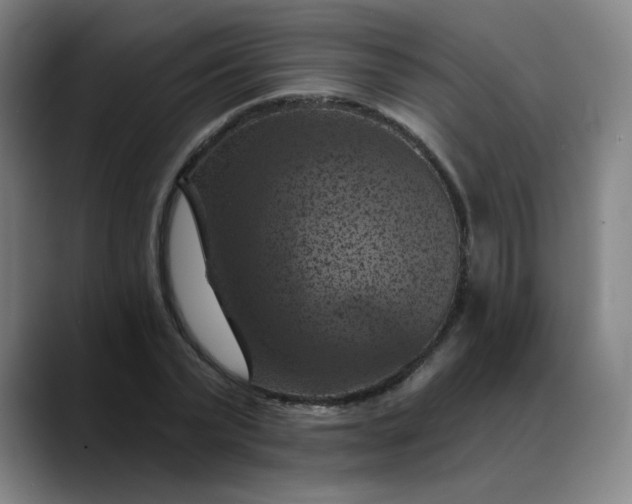 X0000088690783200706141411