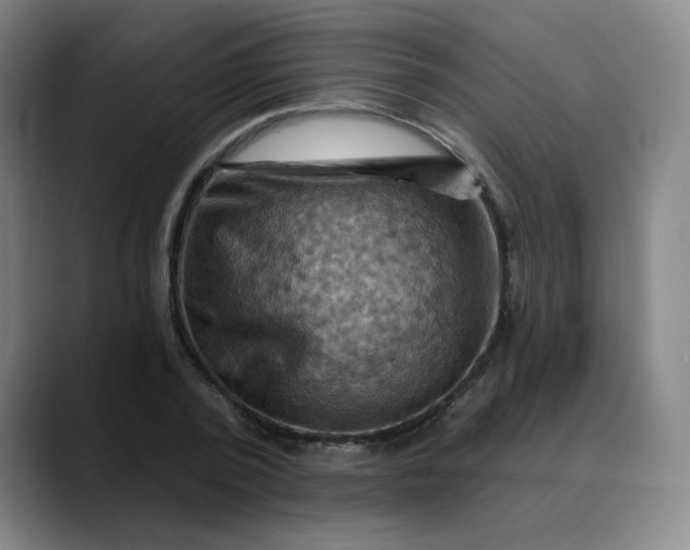 X0000088690784200706141411