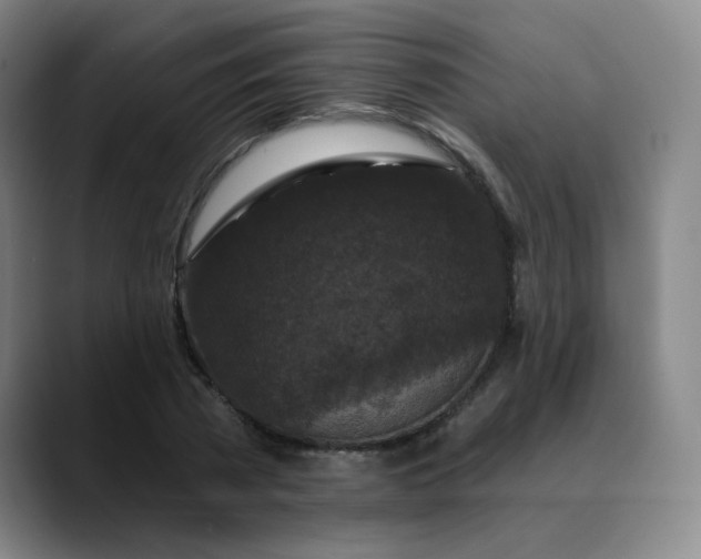 X0000088690785200706141411