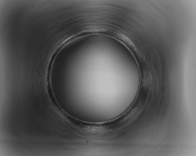X0000088690786200706141411
