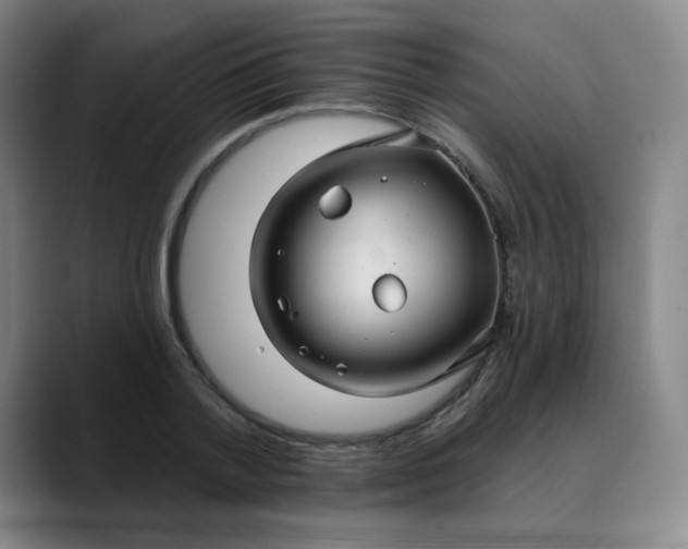 X0000088690788200706141411
