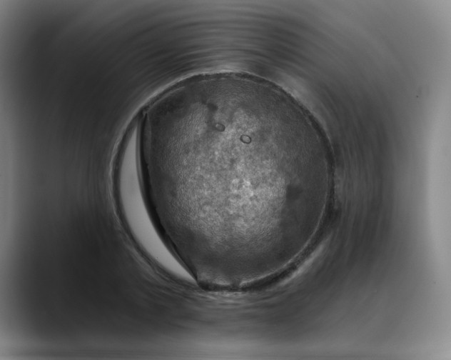 X0000088690789200706141411