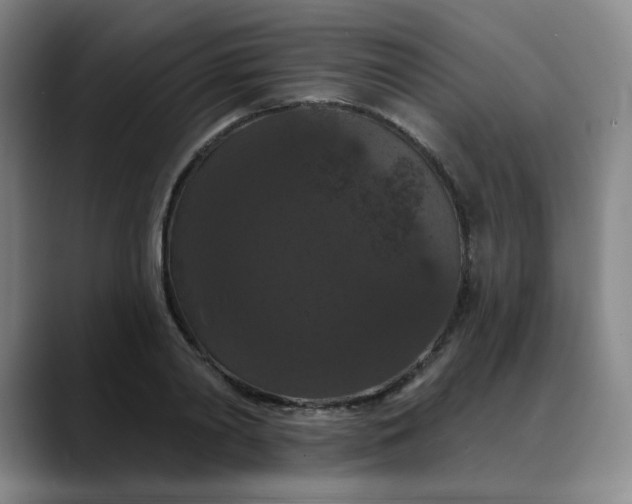 X0000088690790200706141411