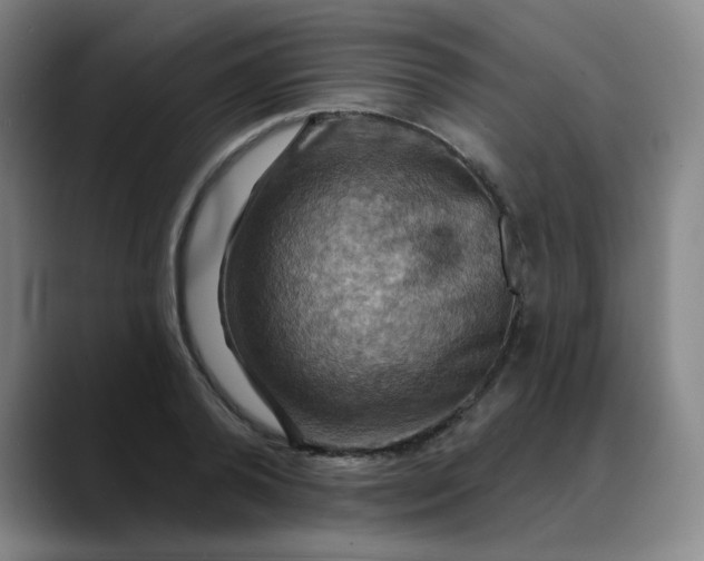 X0000088690792200706141411