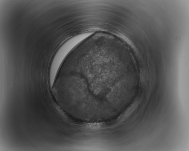 X0000088690793200706141411