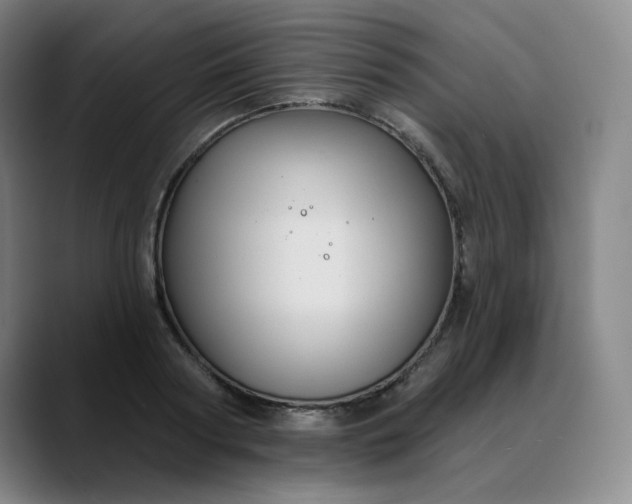 X0000088690794200706141411
