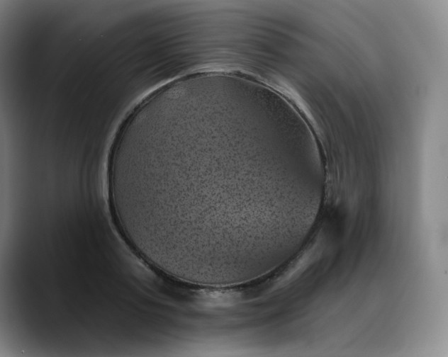 X0000088690795200706141411