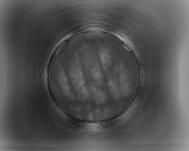 X0000088690798200706141411