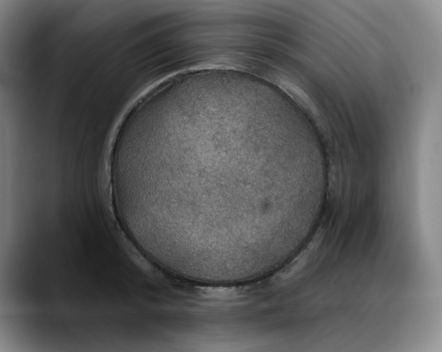X0000088690800200706141411