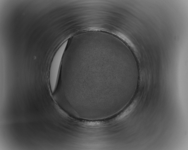 X0000088690801200706141411
