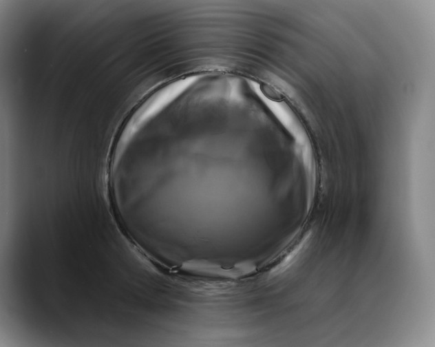 X0000088690802200706141411