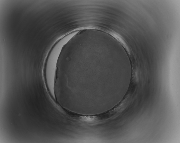 X0000088690805200706141411