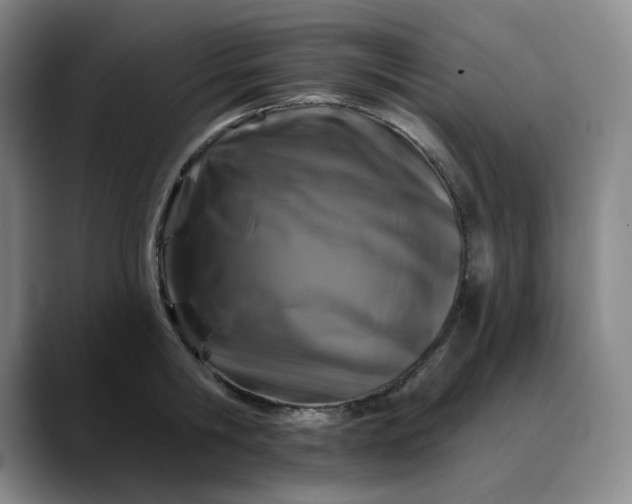 X0000088690806200706141411