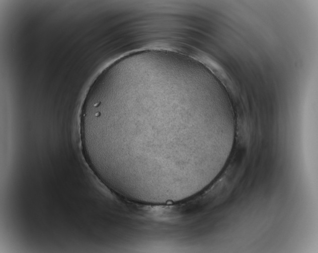 X0000088690808200706141411