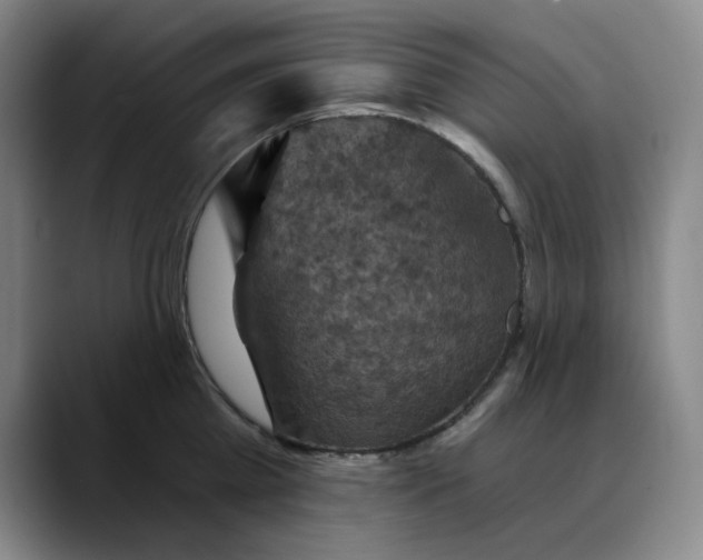 X0000088690809200706141411
