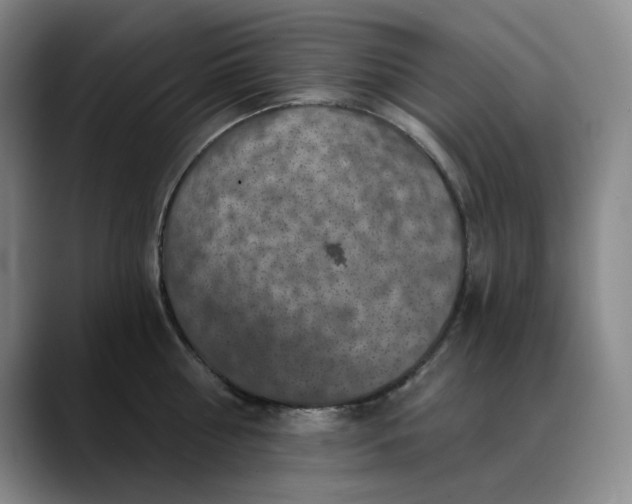 X0000088690810200706141411