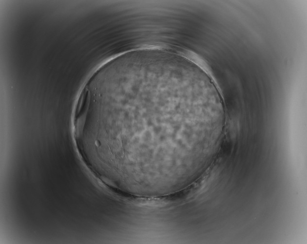 X0000088690811200706141411