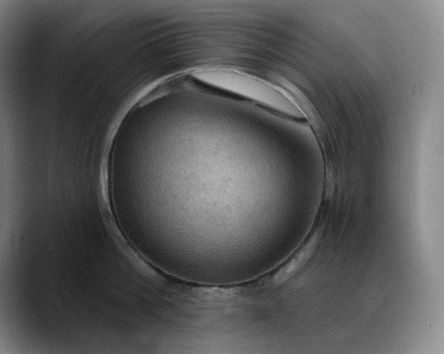 X0000088690812200706141411
