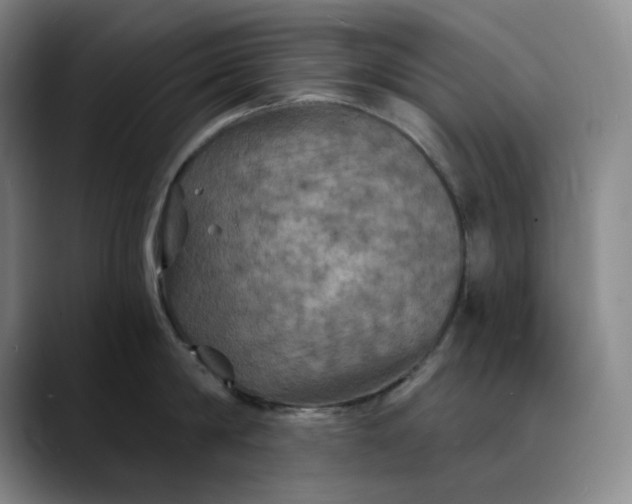 X0000088690814200706141411