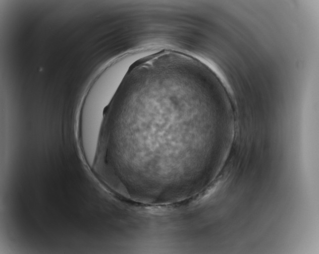 X0000088690815200706141411