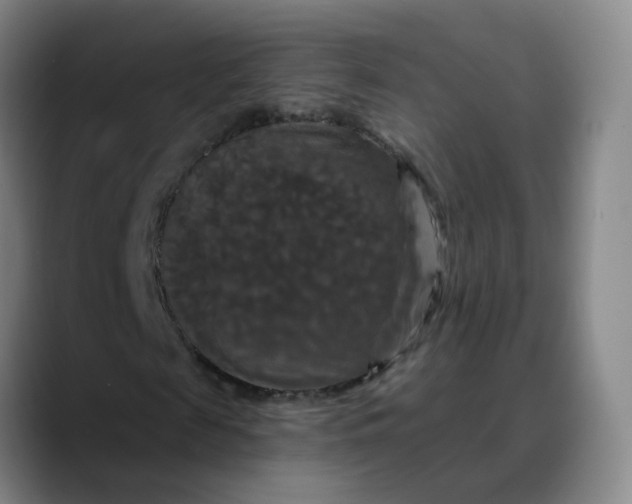 X0000088690817200706141410