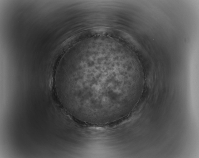 X0000088690821200706141410