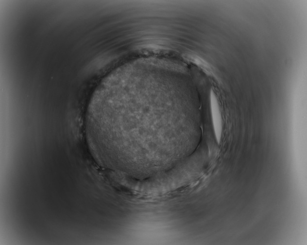 X0000088690822200706141410