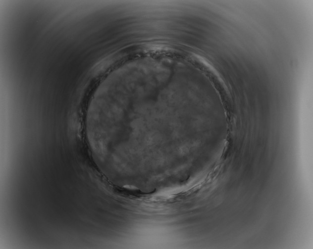 X0000088690823200706141410