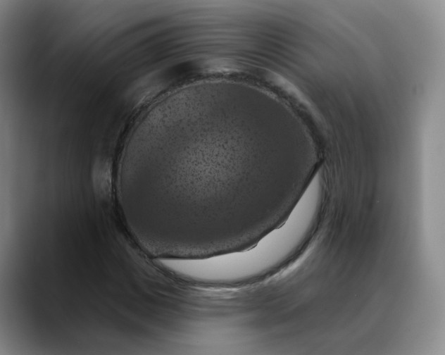 X0000088690825200706141410