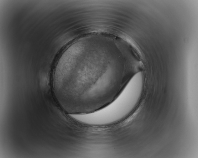 X0000088690826200706141410