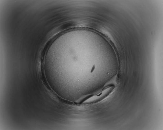X0000088690827200706141411