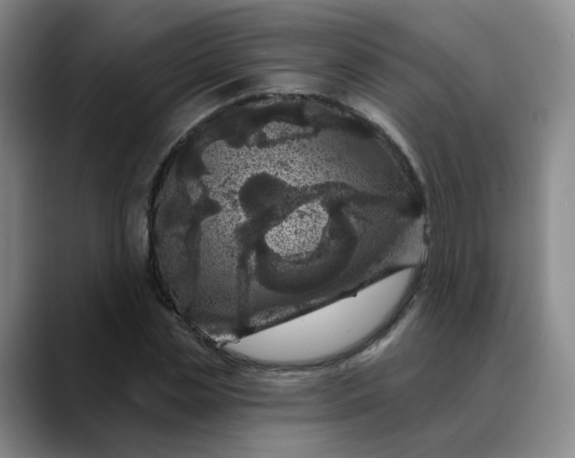 X0000088690829200706141411