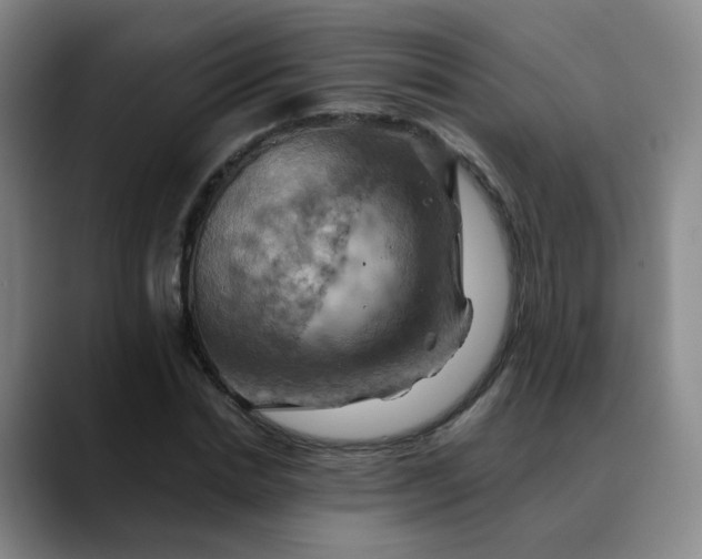 X0000088690830200706141411