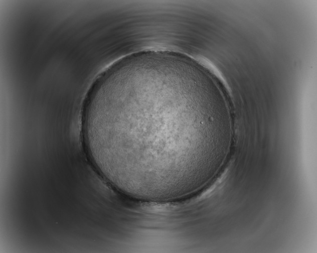 X0000088690831200706141411