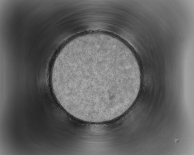 X0000088690832200706141411