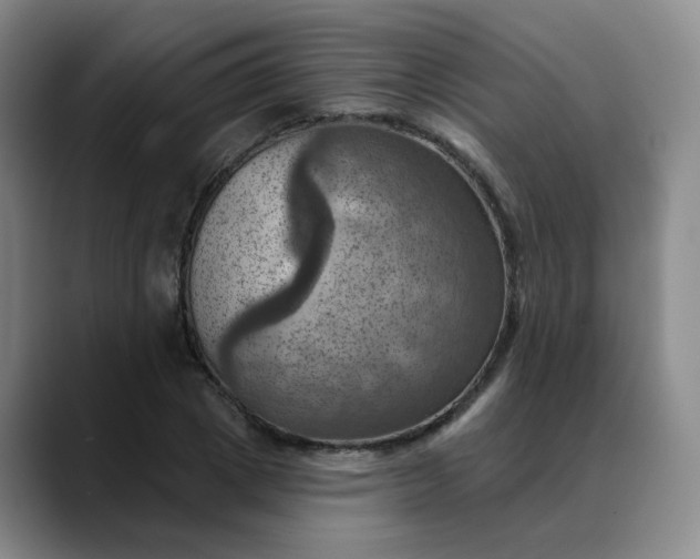 X0000088690833200706141411